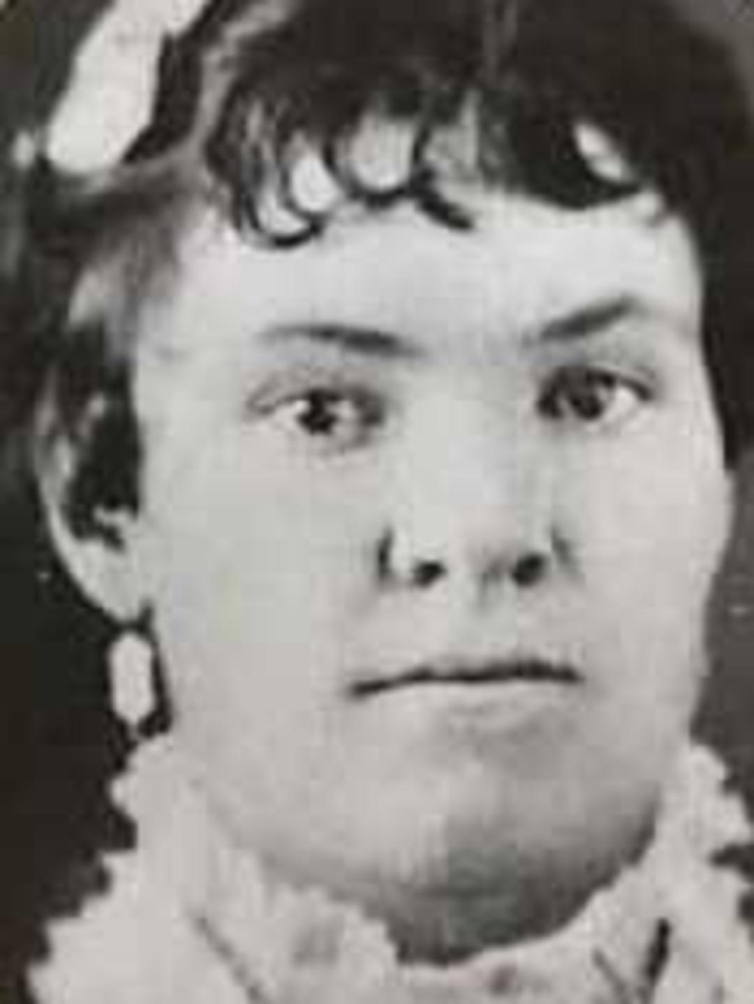 Caroline Kate Pitt (1861 - 1930) Profile